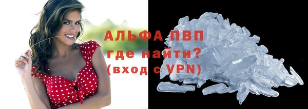 СК Новозыбков