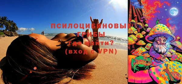 СК Новозыбков