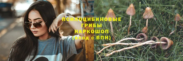 ешки Новокубанск