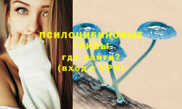 ешки Новокубанск